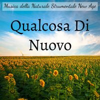 Meditazione Guidata - Meditando