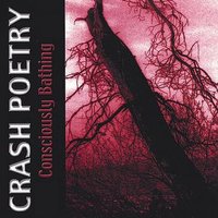 Innocent Diamonds - Crash Poetry