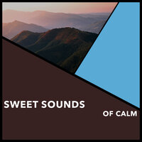 Clear Focus - Relaxing Chill Out Music