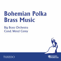 Die lustigen Brüder - The Bohemian Polka Brass Ensemble & Walther Schultz