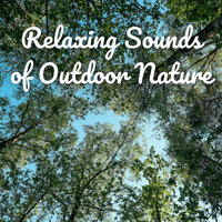 Instant Tides - Nature Noise & Natures Orchestra & Nature Sleep