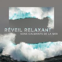 Vers la paix - Spa Musique Massage