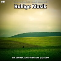 Ruhige Musik pt. 11 - Entspannungsmusik Sebastian Noiro & Schlafmusik & Entspannungsmusik
