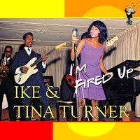 You Got What You Wanted - Ike & Tina Turner