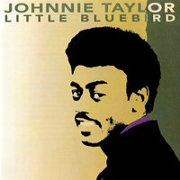 Jody's Got Your Girl And Gone - Johnnie Taylor