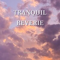 Lullaby of the Stars - Alarick Relax & Airstream Music & Harold Roach
