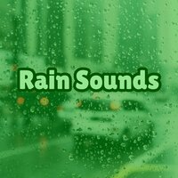 Rain Storm Relaxation - Rain Sounds & Rain for Deep Sleep & Jungle Sounds