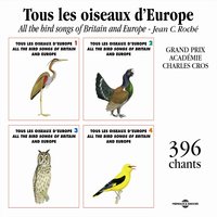 Harfang Des Neiges - Frémeaux Nature