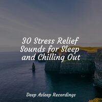 Spring's Dew - Pet Care Music Therapy & Música de la Naturaleza & Deep Sleep Music Experience