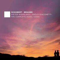 Violin Sonata No. 1 in G Major, Op. 78: I. Vivace ma non troppo - Pieter Wispelwey & Paolo Giacometti & Иоганнес Брамс