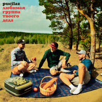 Бабы нет - Pucilaz