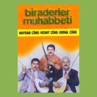 Gülmedim - Vedat Cöke & Erdal Çöke & Haydar Coke