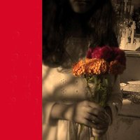 El Lirio - Carlos Avilez