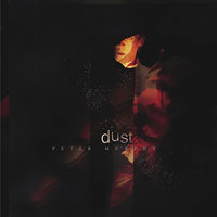 Jungle Haze - Peter Murphy