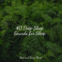 Autumn Sunset - Easy Sleep Music & Chillout Lounge & The Sleep Specialist