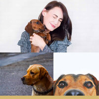 Deluxe Music for Chilling Your Dog - Music for Dogs Bgm