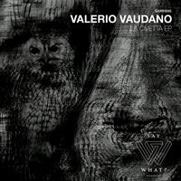 Viola - Valerio Vaudano