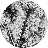 Ambrosia - Vayu