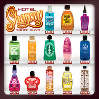 At The Heart Of Love - Gruff Rhys
