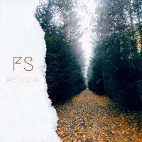 FS - Metanoia