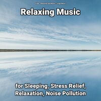 Splendid Relaxing Music - Relaxing Spa Music & Yoga Music & Yoga