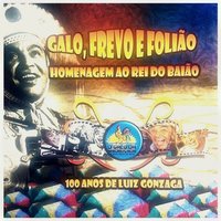 Galo Frevo e Folião - Galo da Madrugada
