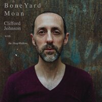 Walking to Chicago - Clifford Johnson & The Sleepwalkers