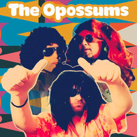It's the Opossums - Face D & The Opossums