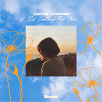 Not Looking for You - Saco & Liz Beekman