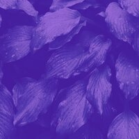 Музыка (Отдыхает) - престижные Музыка для сна