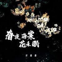 春夜海棠花未眠 - 祥嘞嘞