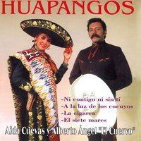 La Verdolaga - Aida Cuevas