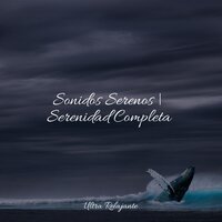 Luces De Vigilia - Lluvia PQ & Musica relajante & Meditar Profundamente