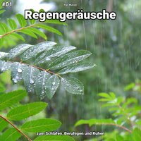 Regengeräusche, pt. 3 - Fips Munzer
