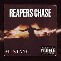 TORQUING RAGE - Mustang