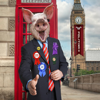 Ukip U Lose - The Destructors