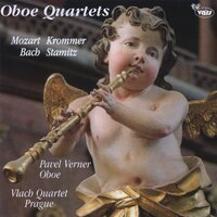 6 Quartets, Op.4, No. 3 Quartet in D Major: III. Poco Presto - Pavel Verner & Vlach Quartet Prague