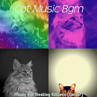 Marvellous Backdrops for Training Your Cat - Cat Music Bgm