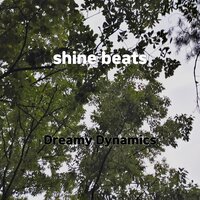chill knockin - Dreamy Dynamics