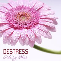 Peaceful Day - Destress Relaxing Music School