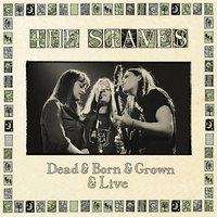 Winter Trees - The Staves