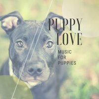 Carefree - Soothing Dog Sounds & Kaybri