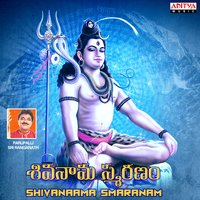 Om Namashivaya Dhun - Parupalli Sri Ranganath