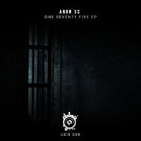 The End of Time - Aron SC