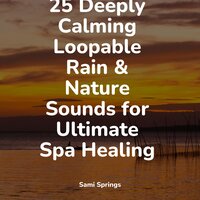 Quiet Bird Song - Thunder Storm & Music to Relax in Free Time & Naturaleza Sonidos