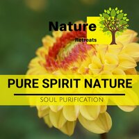 Touch of The Wind - Power Yoga Nature Sounds