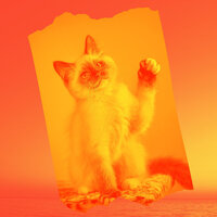 Heavenly Ambience for Stressed Kittens - Sleepy Cats