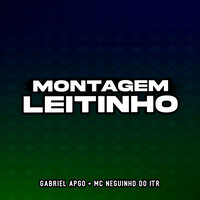 Montagem Leitinho - GABRIEL APGO & MC Neguinho do Itr
