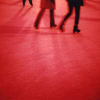 Laughing in a Red Rose Tutu - Eidetics