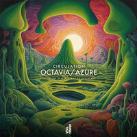 Octavia - Circulation